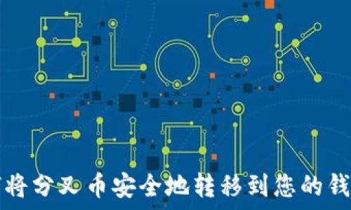   
如何将分叉币安全地转移到您的钱包中