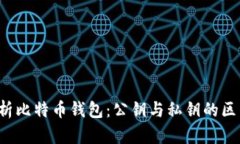  全面解析比特币钱包：公钥与私钥的